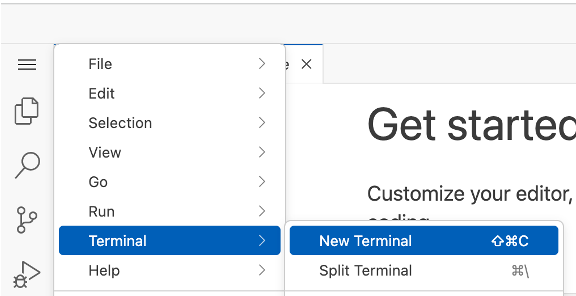 codeserver_terminal.png